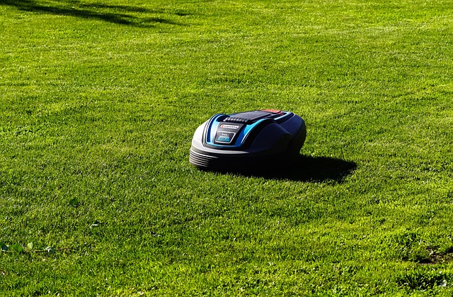 robot tondeuse grand terrain