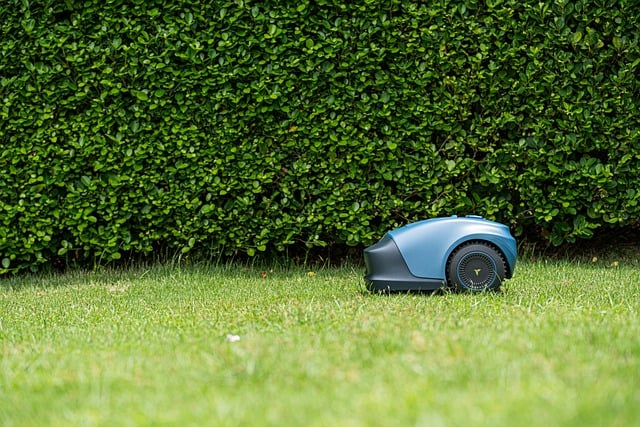 robot de tonte pas cher