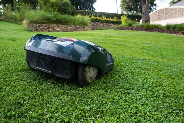 robot de tonte sans fil périphérique